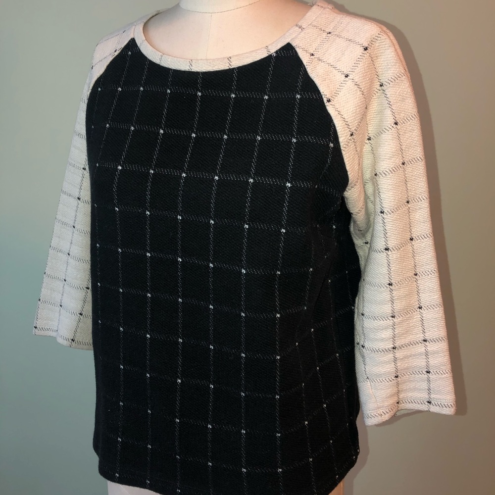 LOFT Black and Tan Sweater